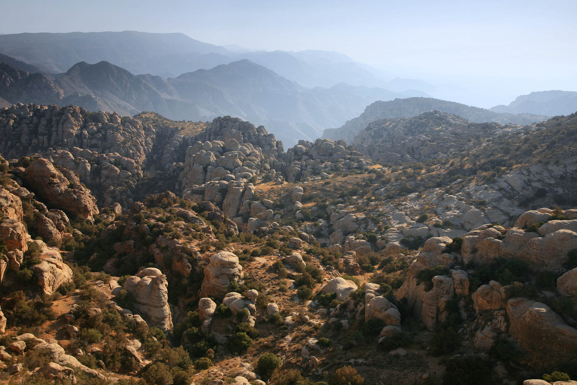 bill-hocker-dara-nature-preserve-jordan-2008