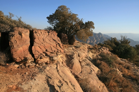 Dara Nature Preserve, Jordan