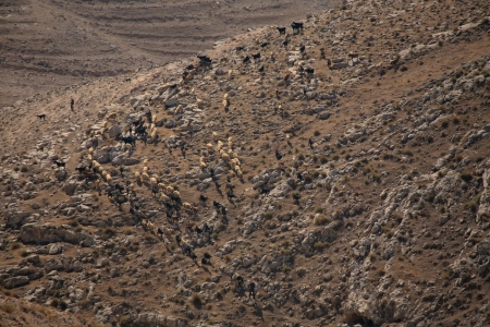 Hillside
Mt. Nebo, Jordan 