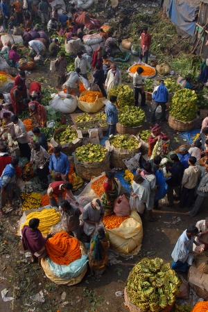 Flowers and Fruit
Kolkata, India
