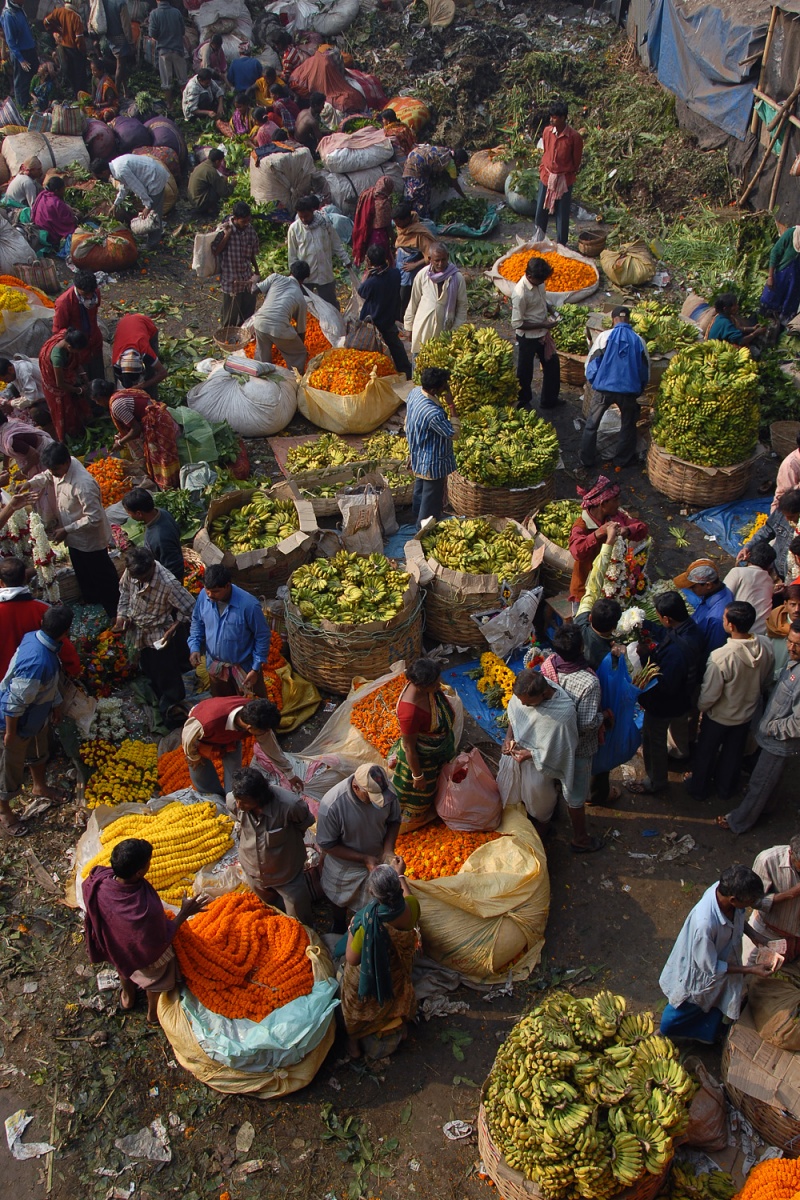 bill-hocker-flowers-and-fruit-kolkata-india-2007