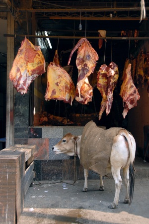 Beef
Kolkata, India
