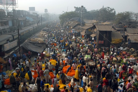 Flower Market, Morning
Kolkata, India 
