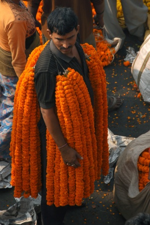 Marigold Vendor
Kolkata, India

