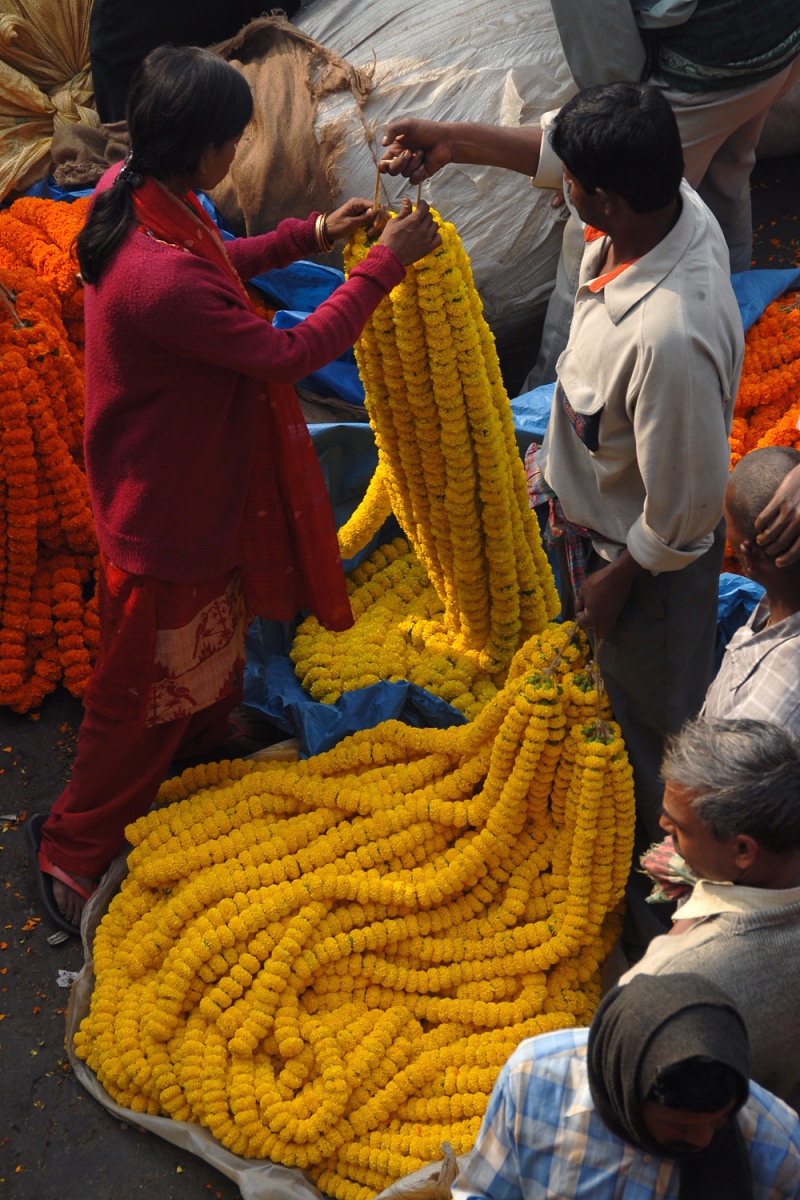 bill-hocker-flower-market-buyer-kolkata-india-2007