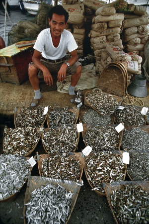 Fish VendorYeosu, Korea