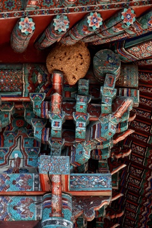Temple Bracket, Wasp's Nest
?? Monastery, Korea
