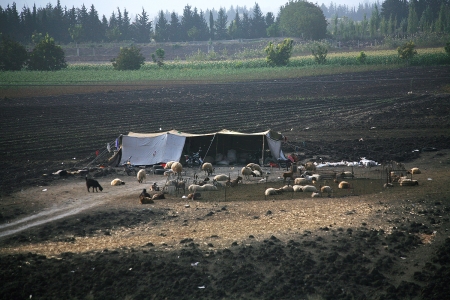 Shepherds Tent
Syria