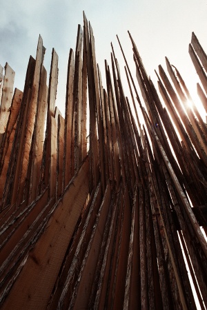 Boat PlankingNaskeag Point, Maine
