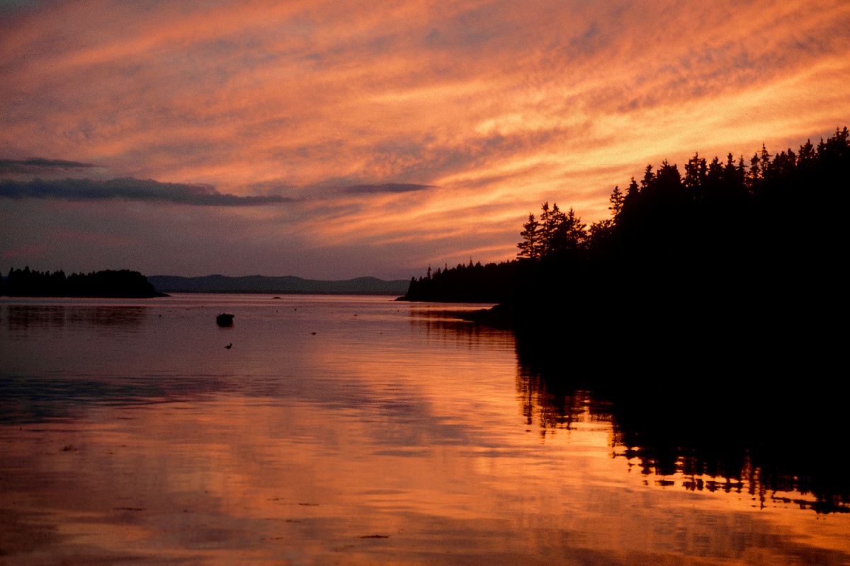 bill-hocker--little-deer-isle-maine-2000