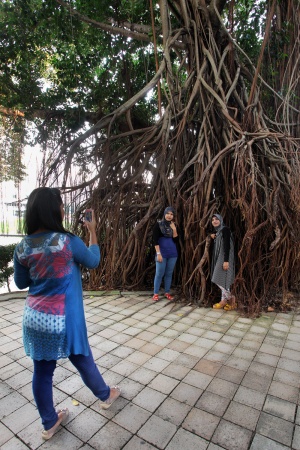 City Centre Park
Kuala Lumpur, Malaysia