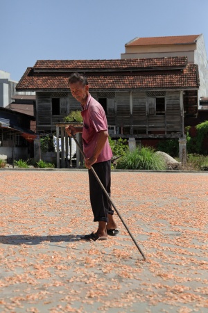 Drying Shrimp
Kuala Sepetang, Malaysia