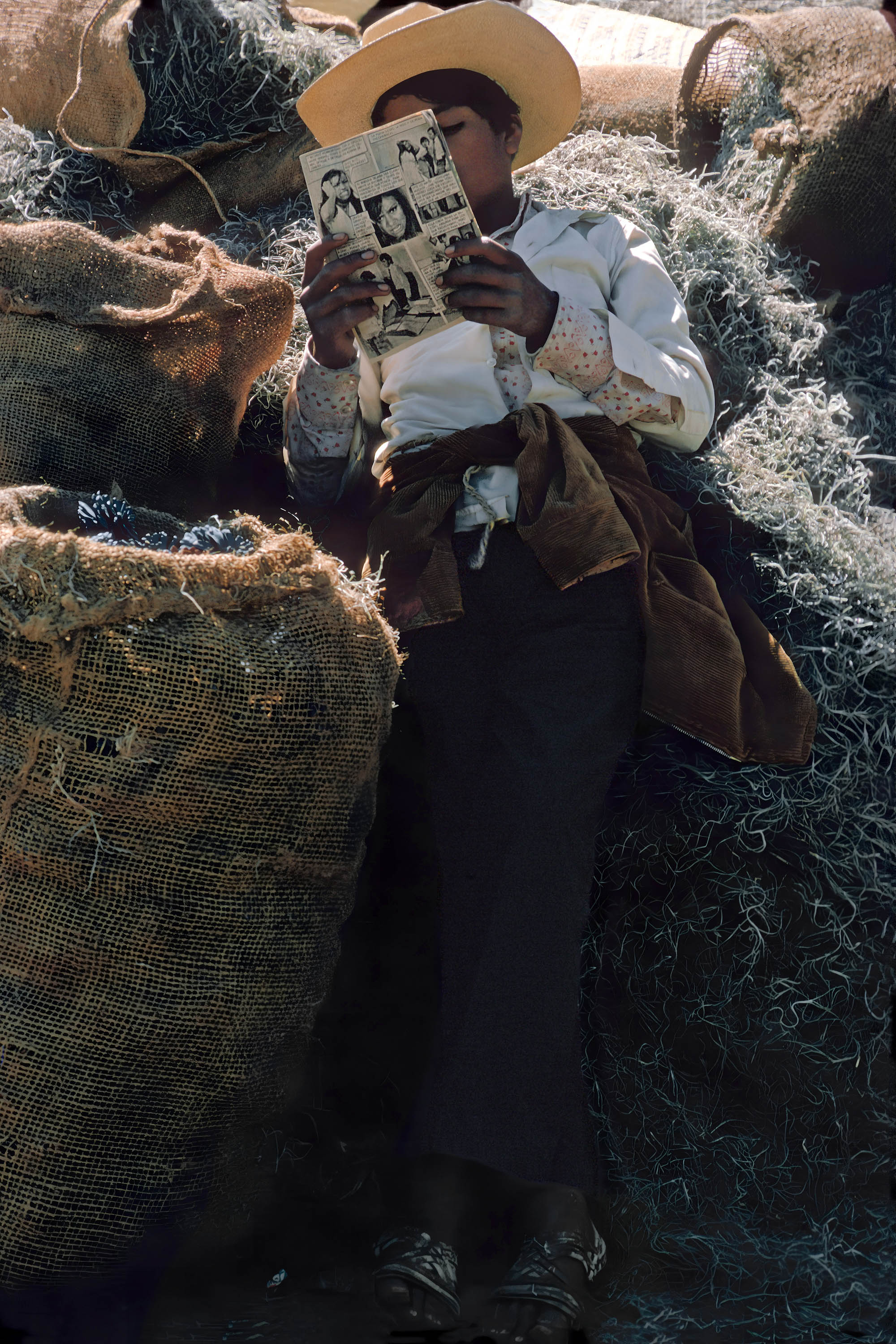 bill-hocker-raw-sisal-mexico-1973