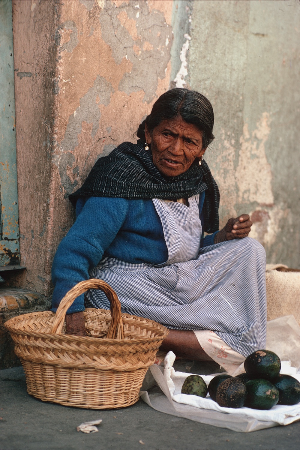 bill-hocker-avacados-mexico-1973