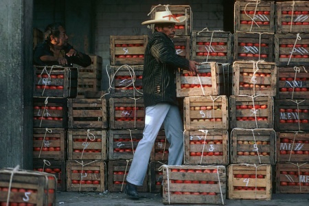 TomatoesMexico