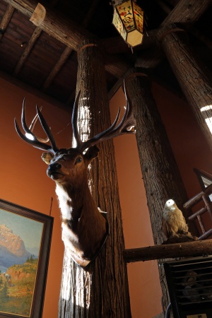 McDonald Lodge
Glacier National Park
Montana