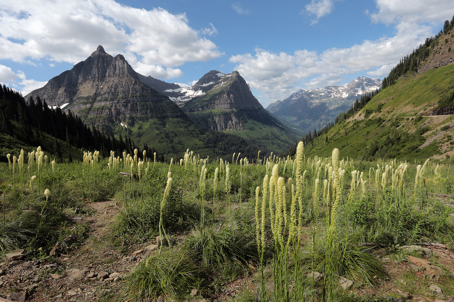 bill-hocker-mt-oberlin--mt-canon-glacier-national-park-montana-2017