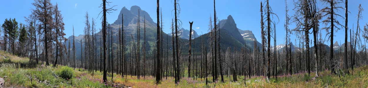 Near St Mary Lake
Glacier National Park
Montana