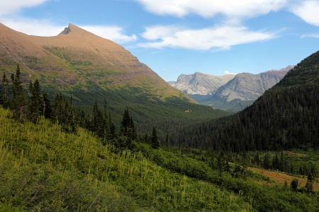 Mt. Henkel
Glacier National Park
Montana