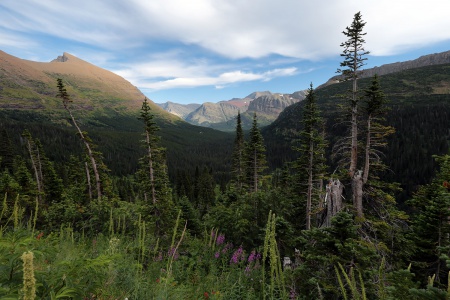 Iceberg Lake Trail
Glacier National Park
Montana