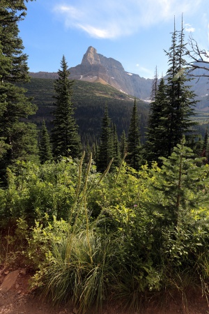 Mt. Wilber
Glacier National Park
Montana