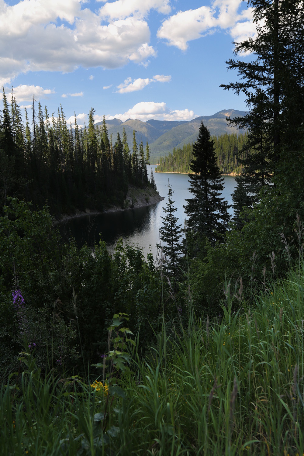 bill-hocker-hungry-horse-reservoir-flat-head-national-forest-montana-2017