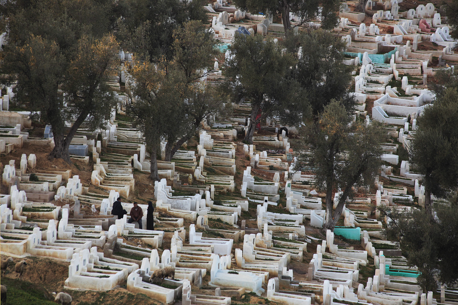 bill-hocker-cemetery-fez-al-bali-morocco-2013