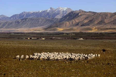 Near Midelt, Morocco