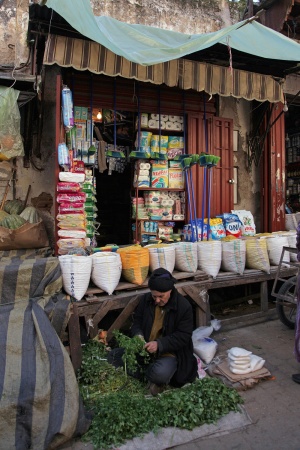 Fes el Bali, Morocco