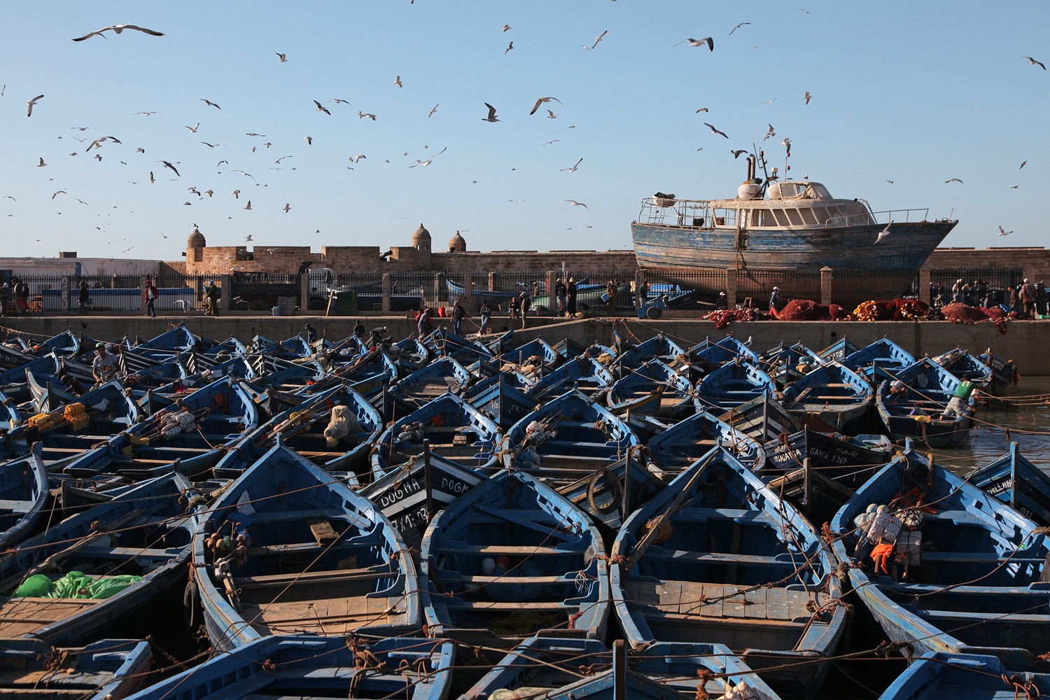 bill-hocker-essaouira-morocco-2012
