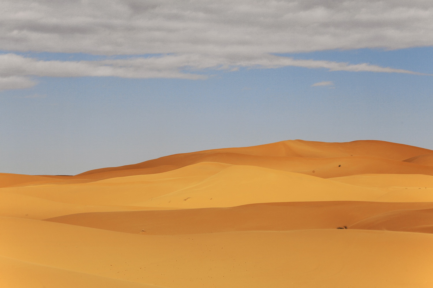 bill-hocker-erg-chebbi-merzouga-morocco-2013