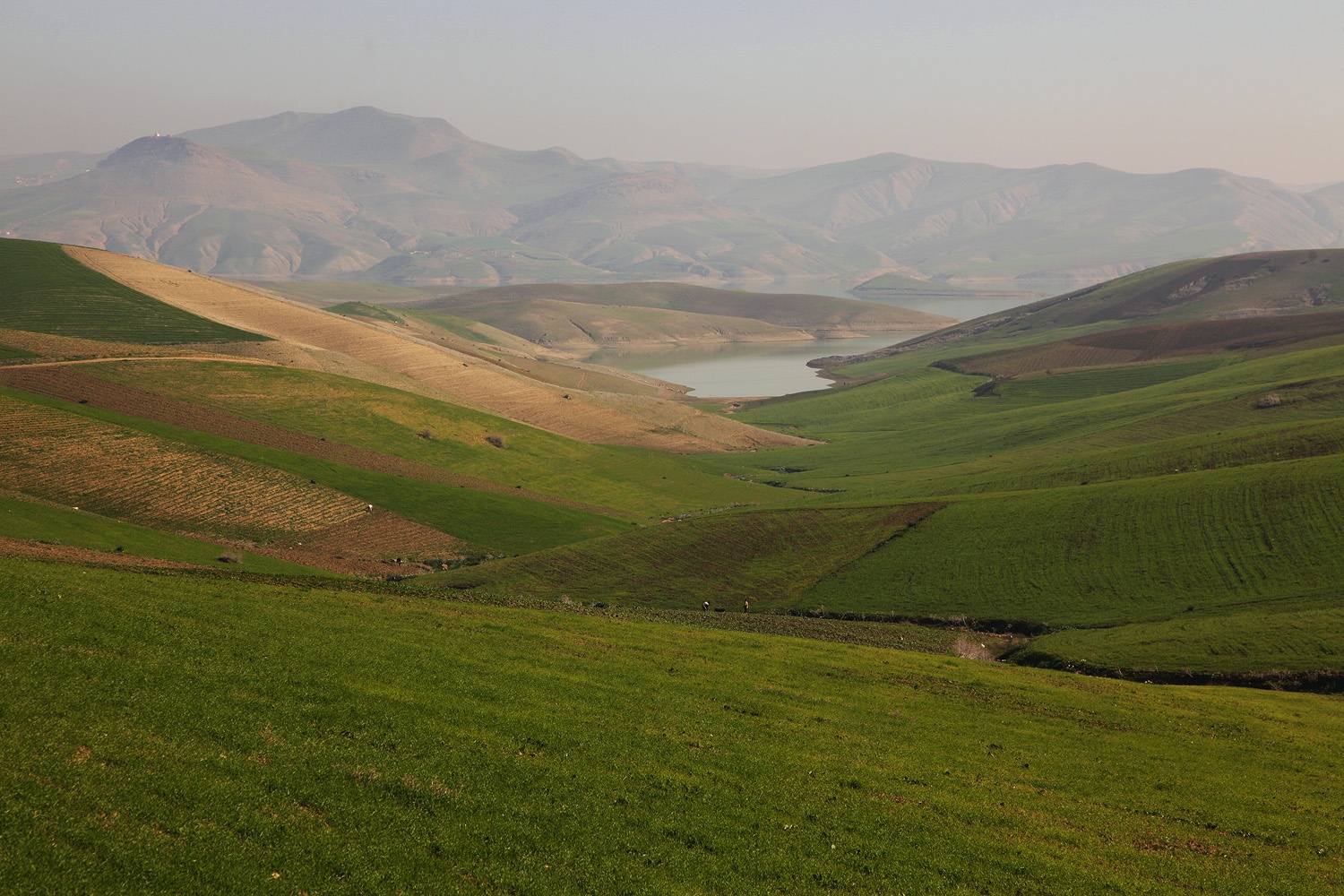 bill-hocker-between-fes-and-meknes-morocco-2013