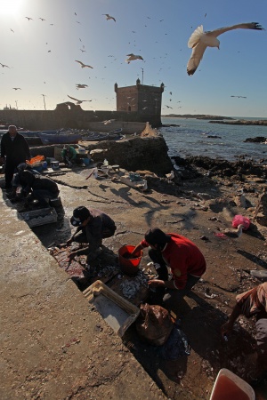 Essaouira, Morocco