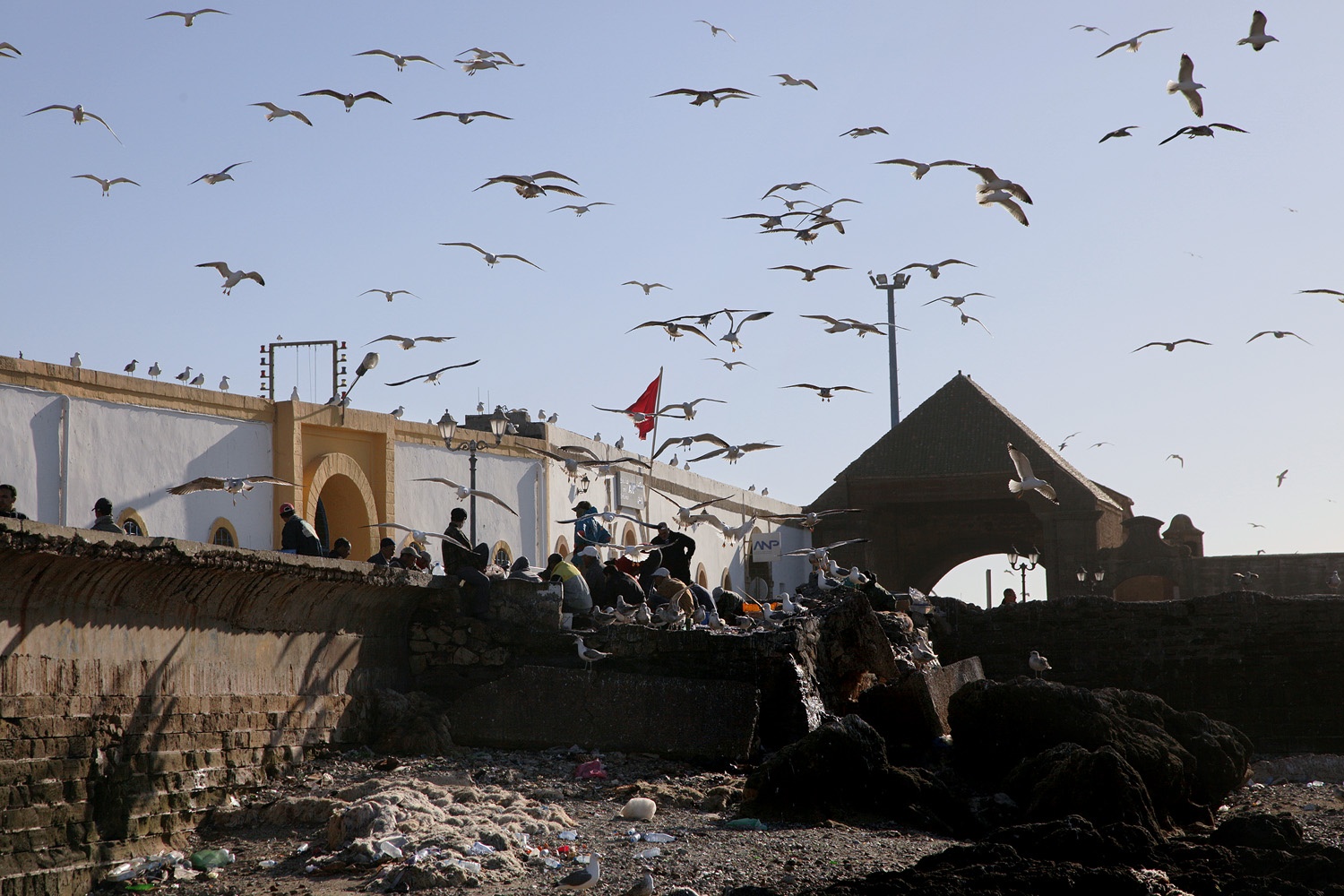 bill-hocker-essaouira-morocco-2012