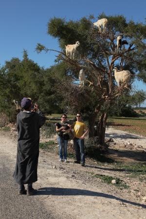Range Management or Tourist Trap?
Between Marrakech and Essaouira,
Morocco