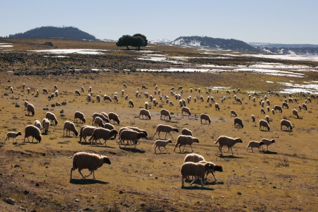 The High Atlas, Morocco