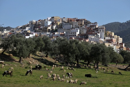 Mouley Idriss, Morocco