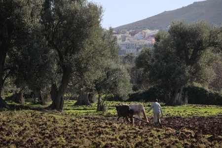 Near Sefrou, Morocco