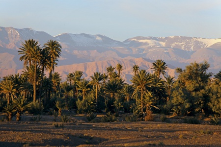 Dades Valley
Near Skoura, Morocco