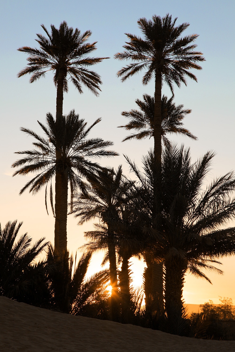 bill-hocker-merzouga-morocco-2013