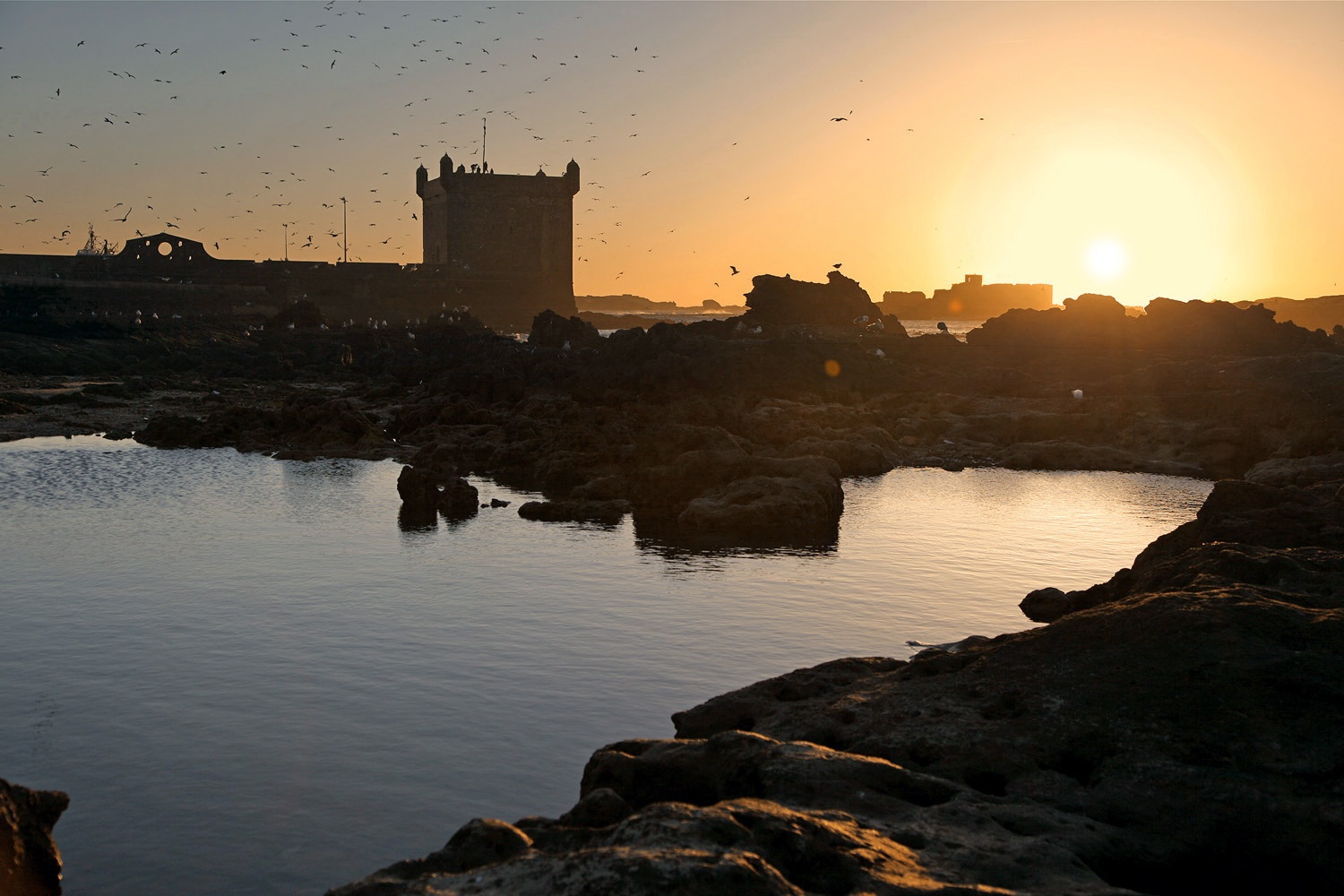 bill-hocker-essaouira-morocco-2012