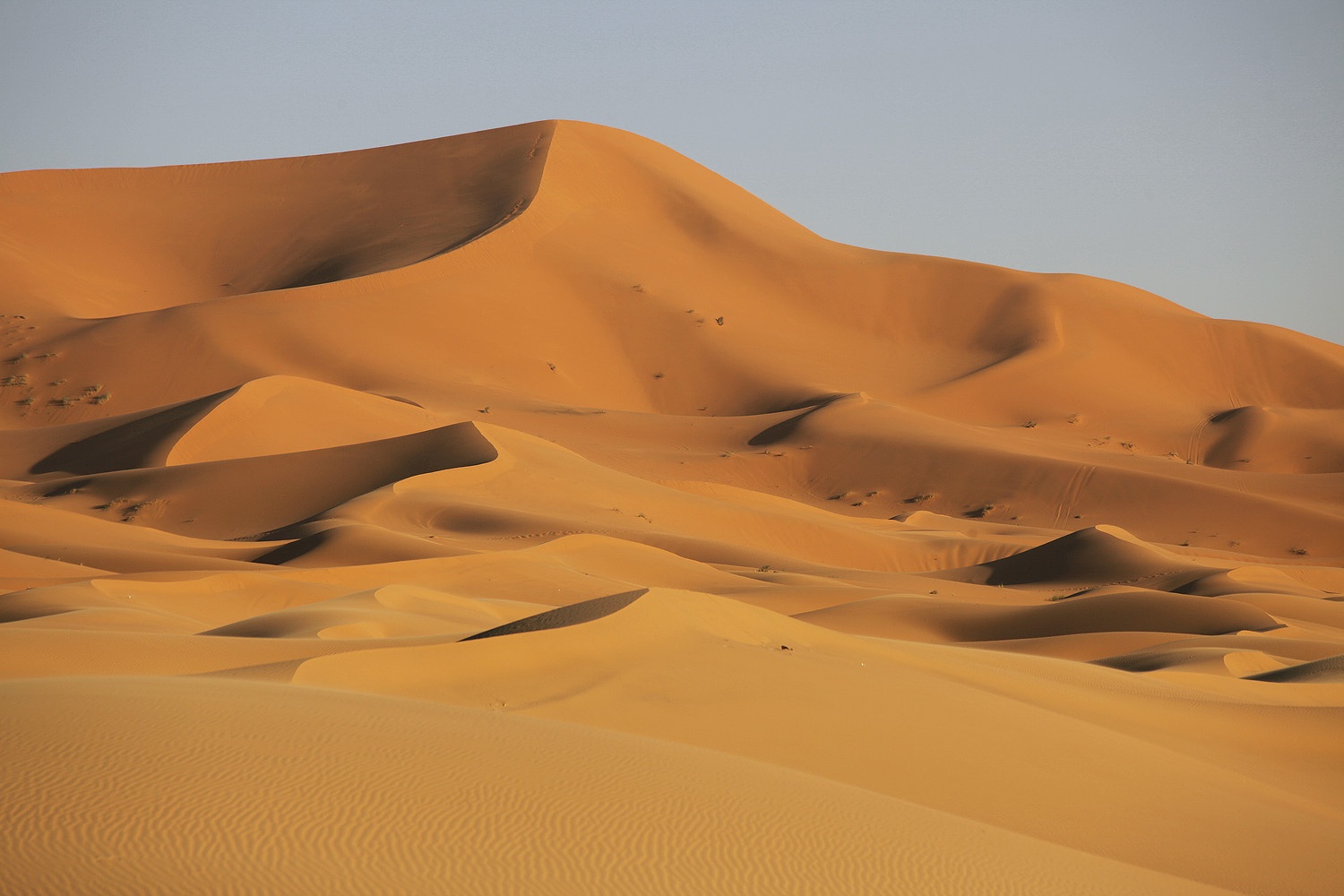bill-hocker-erg-chebbi-merzouga-morocco-2013