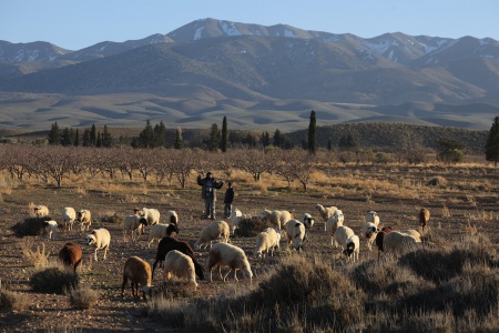 Near Midelt, Morocco
