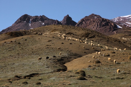 Between Marrakech and Ouarzazate, Morocco