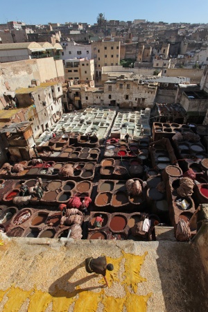 Chowara Tannery
Fes el Bali, Morocco