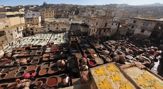 Chowara Tannery
Fes el Bali, Morocco