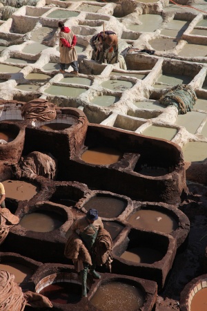 Chowara Tannery
Fes el Bali, Morocco
