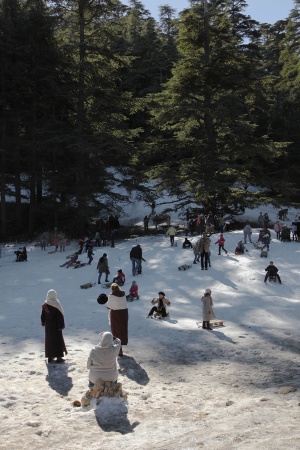 Winter Outing
Near Ifrane, Morocco
