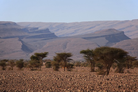 Between Zagora and Rissani, Morocco