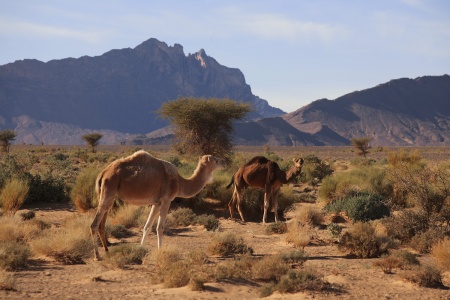 Near Rassini, Morocco